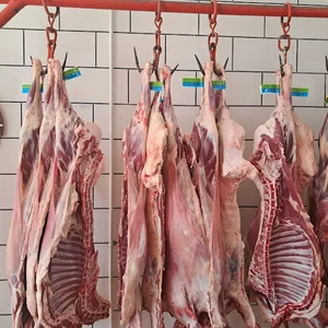 سوپر گوشت غزال