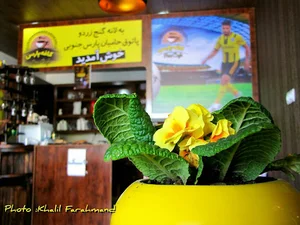 کافه پارس