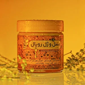 محیا