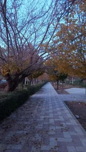 پارک خطی بلوار سید مرتضی 5