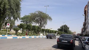 پارک شاپور