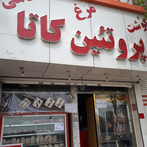 پروتیین کاتا