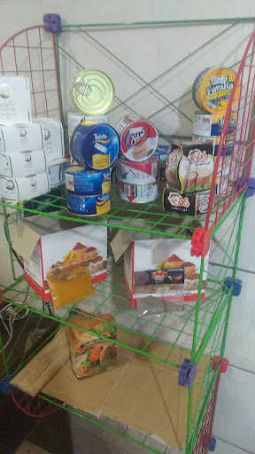 آریا پروتیین