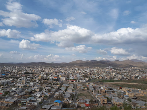 پارک جنگلی بنفشه