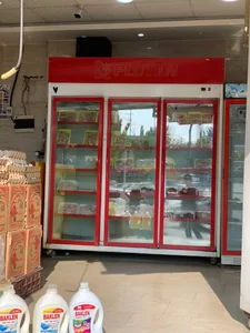 پروتئيني مهديزاده 4