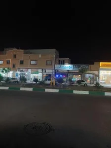 بیمه دانا 2