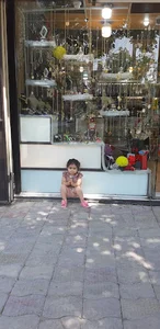 گالری برلیان