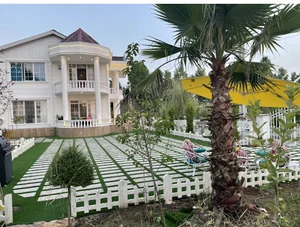 زیباکنار