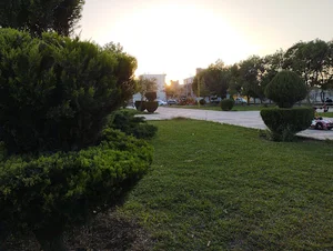 پارک شاهد