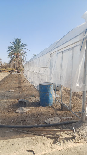 گلخانه