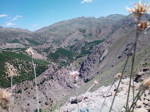 پارکینگ عمومی
