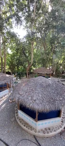 رستوران تیروژ