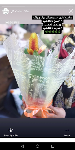 استودیو گل برگ و رنگ