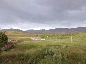 ایوان چشمه