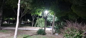 پارک بنفشه 4