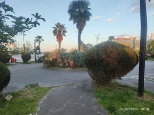 پارک لاهیجان 5