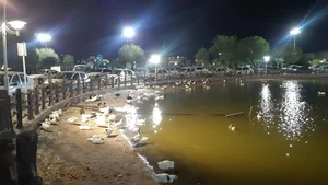 مجتمع فجر سپاه اهواز 2