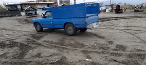 قالی شویی عالیجناب