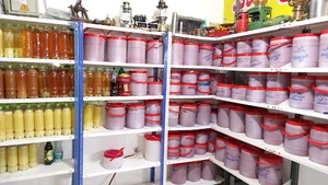 پخش رب محمدی