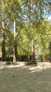 پارک گلدیس