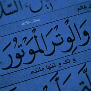 کالای برق وتر