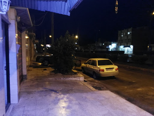 سیستم صوتی تصویری اتومبیل بهادر