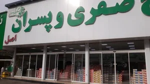 زیتون صفری 4