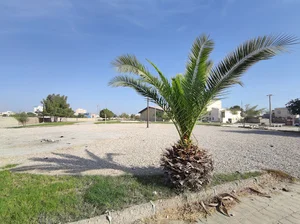 بوستان آتش‌نشان