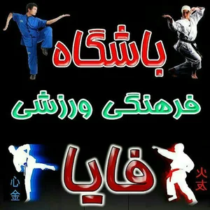 باشگاه ورزشی فایا