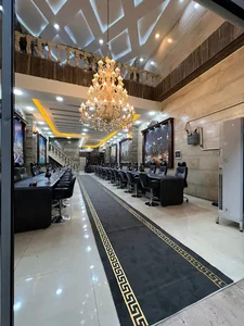 دپارتمان اکازیون