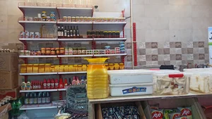 پروتین و لبنیاتی بیرقی