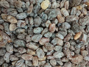 مویز و کشمش بش آفتاب خشک اصل دشمن زیاری 2