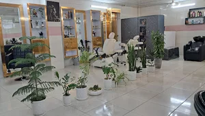 سالن زیبایی کاج