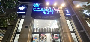 بلوپت 2