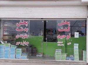 شهر بدنه نظری