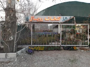 گل فروشی ترابی
