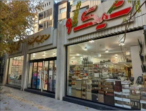 فروشگاه شیك نو