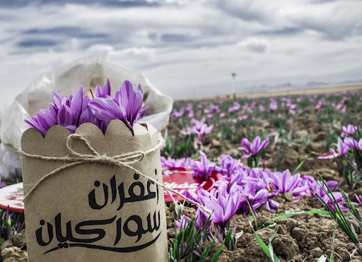 زعفران سورکیان