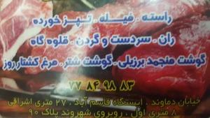 پروتعین برادران شهبازی 4