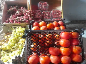 میوه فروشی میرزاپور
