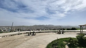 پارک جنگلی بنفشه