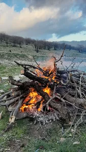 سالن ورزشی آیت الله اراکی