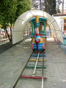 پارک کتاب