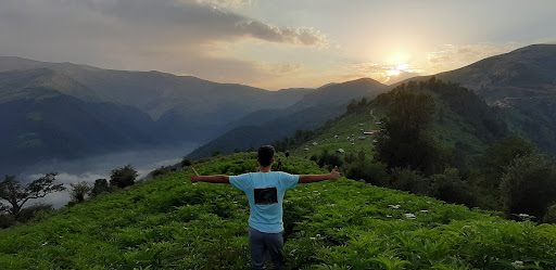 شرکت طبیعت گردی و جهانگردی دلژین تور
