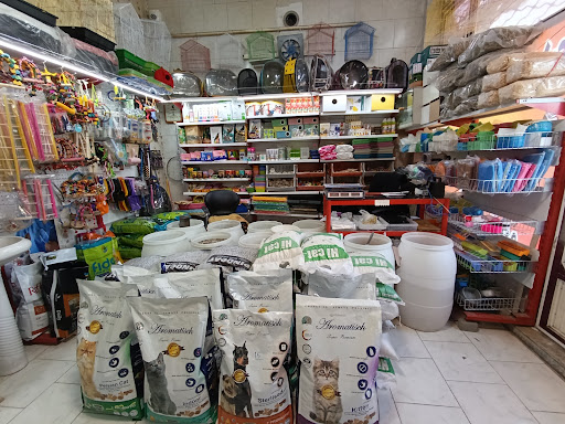پت شاپ حیوانات خانگی مهدی