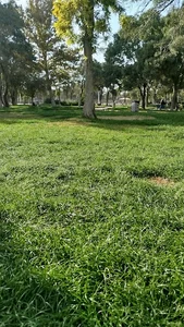 فضای سبز شازده حسین