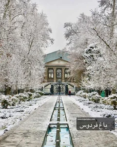 دفتر گروه بانوان نیکوکار در تهران