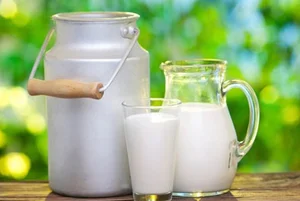 لبنیات گلستان