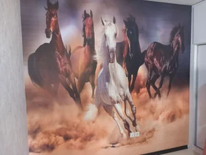 نصب کاغذدیواری و پوستر سه‌بعدی 3