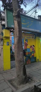مهد کودک وپیش دبستانی تربیت